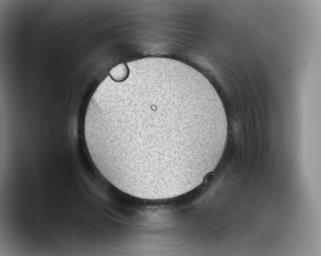 X0000089710686200707201801
