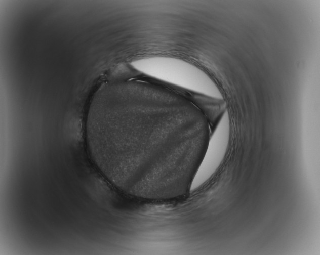 X0000089710689200707201801