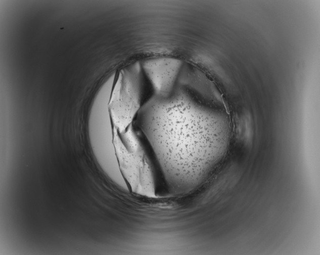 X0000089710692200707201801