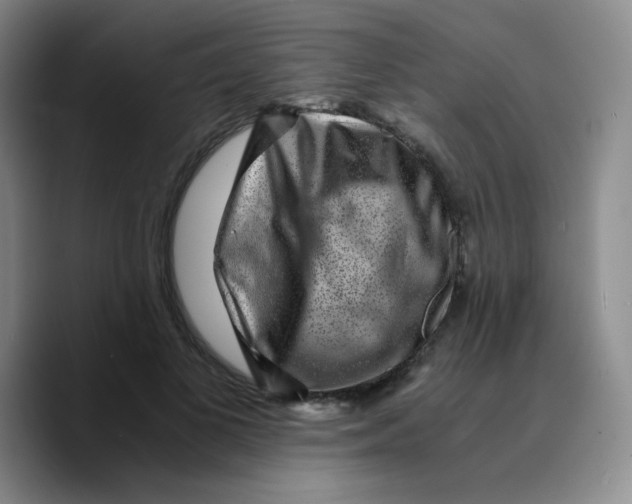 X0000089710693200707201801