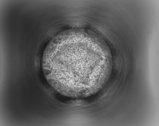 X0000089710695200707201801