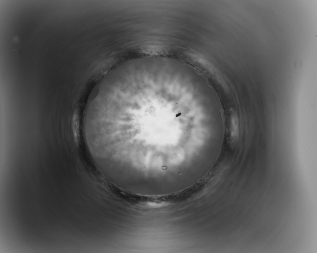 X0000089710696200707201801