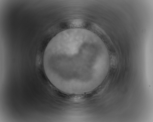 X0000089710701200707201801
