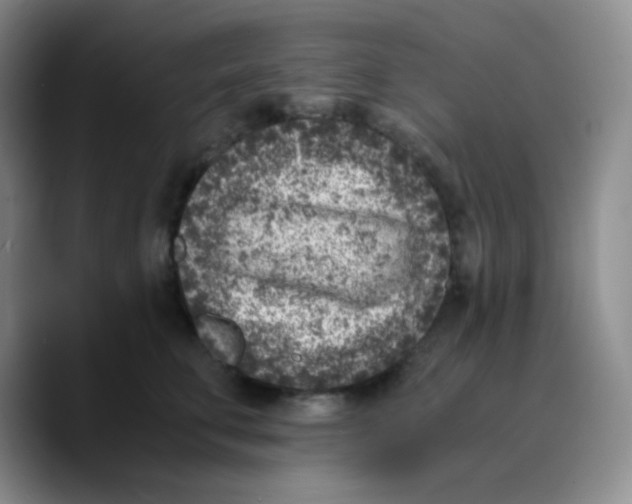 X0000089710711200707201800