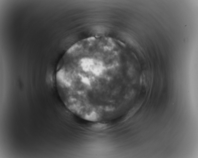 X0000089710718200707201800