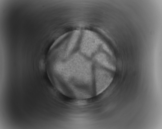 X0000089710719200707201800