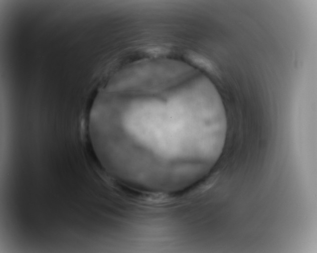X0000089710720200707201800