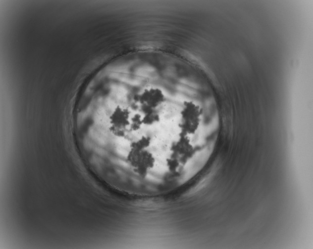 X0000089710721200707201800