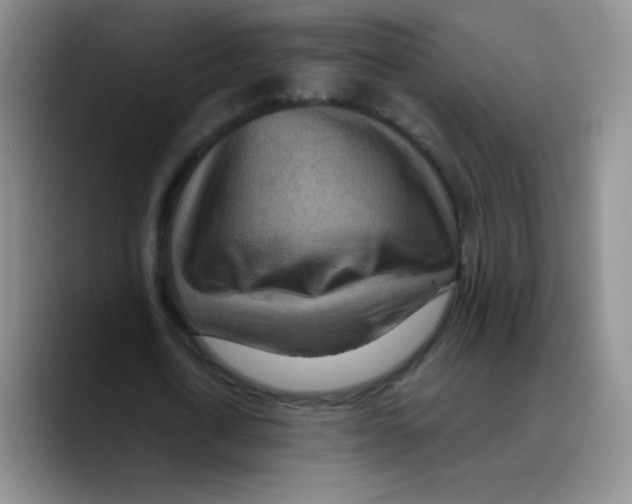 X0000089710722200707201800