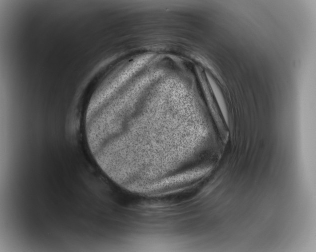 X0000089710723200707201800