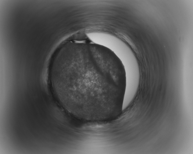 X0000089710724200707201800