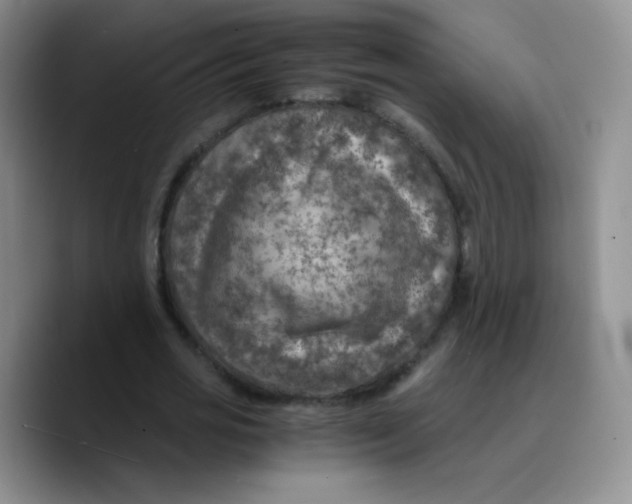 X0000089710725200707201800
