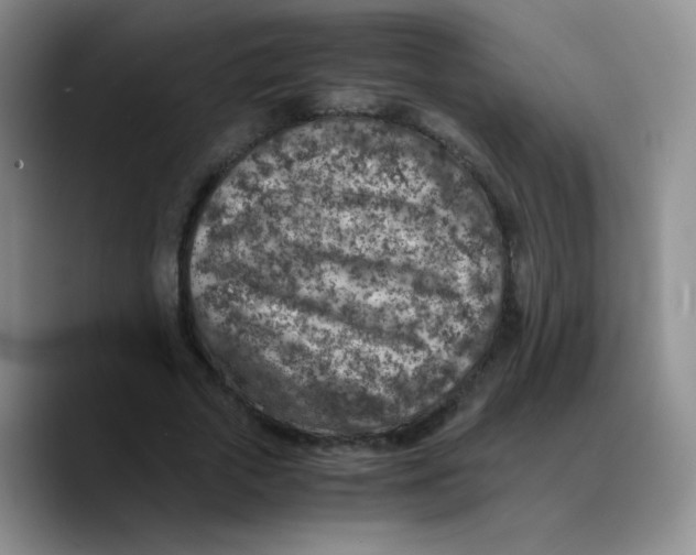 X0000089710729200707201800
