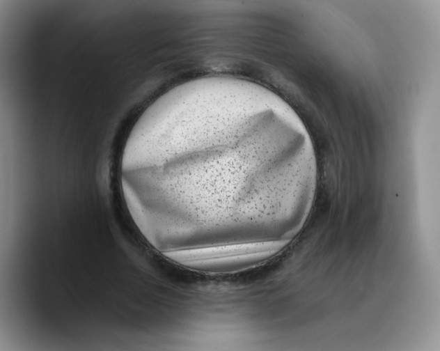 X0000089710730200707201800