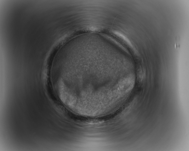 X0000089710736200707201800