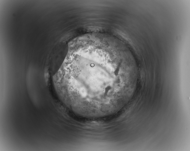 X0000089710737200707201800