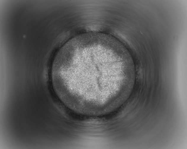 X0000089710738200707201800