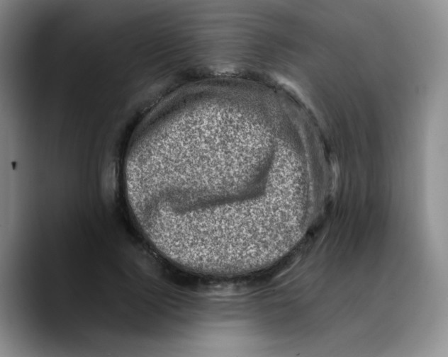 X0000089710740200707201800