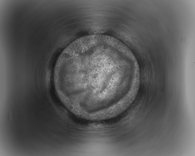 X0000089710742200707201800