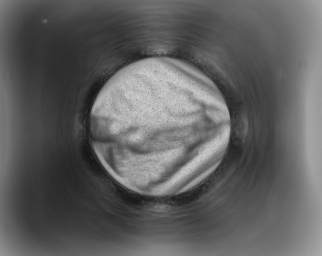 X0000089710743200707201800