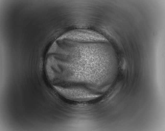 X0000089710744200707201800