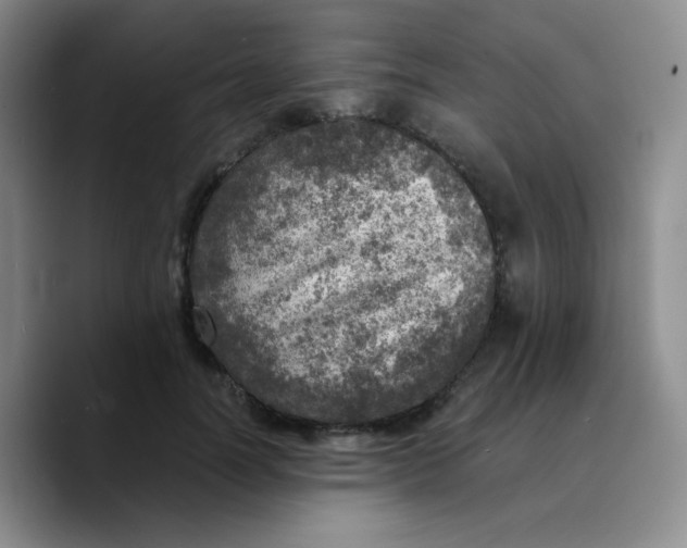 X0000089710746200707201800