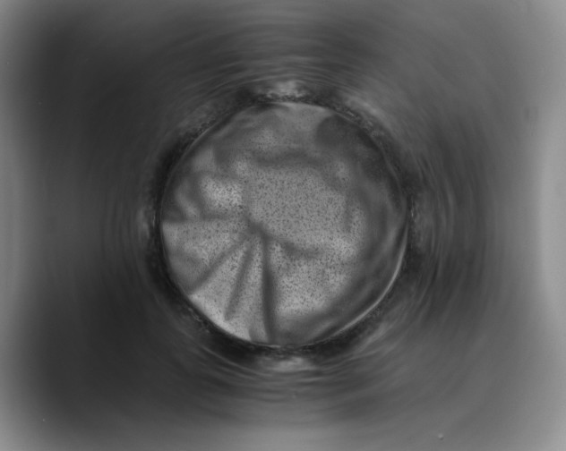 X0000089710747200707201800