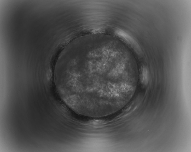 X0000089710748200707201800
