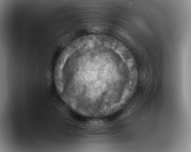 X0000089710749200707201800