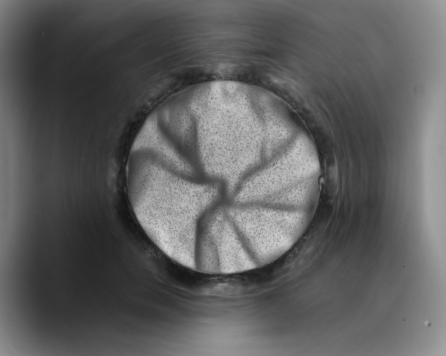 X0000089710750200707201800