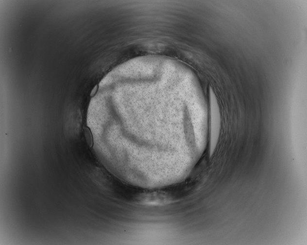 X0000089710752200707201800