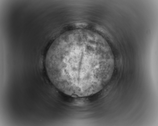 X0000089710757200707201800