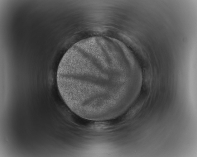 X0000089710758200707201800