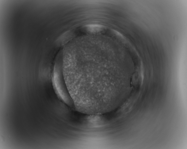 X0000089710762200707201800