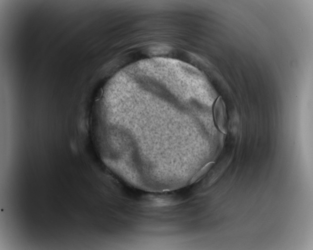 X0000089710763200707201800