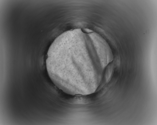 X0000089710764200707201800