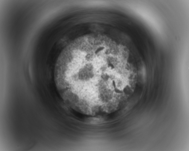 X0000089710765200707201800