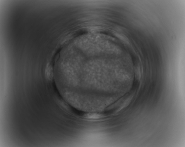 X0000089710766200707201800