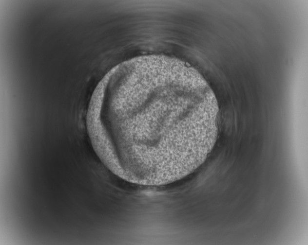 X0000089710770200707201800