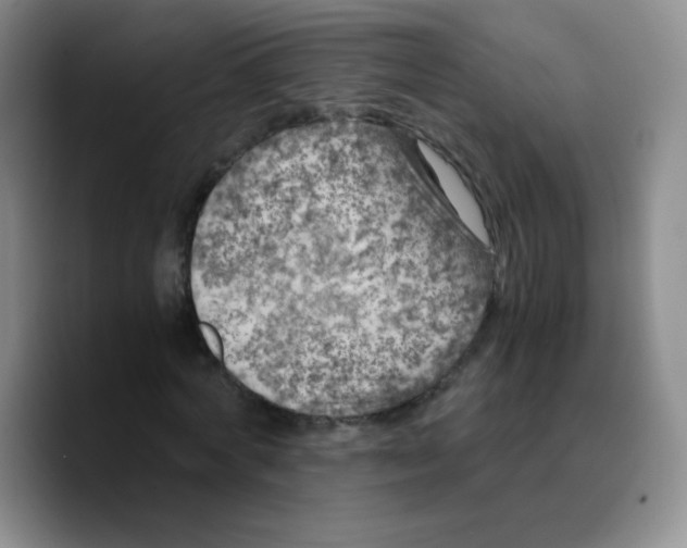 X0000089710772200707201800