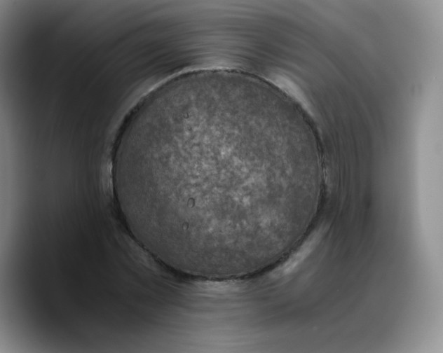 X0000089710781200707201800