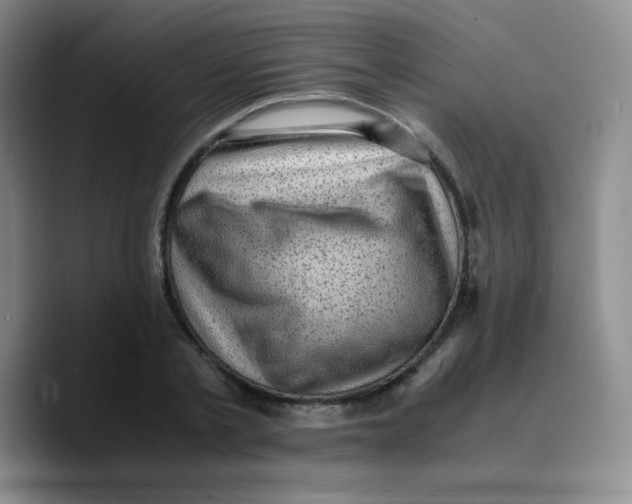 X0000089710789200707201759