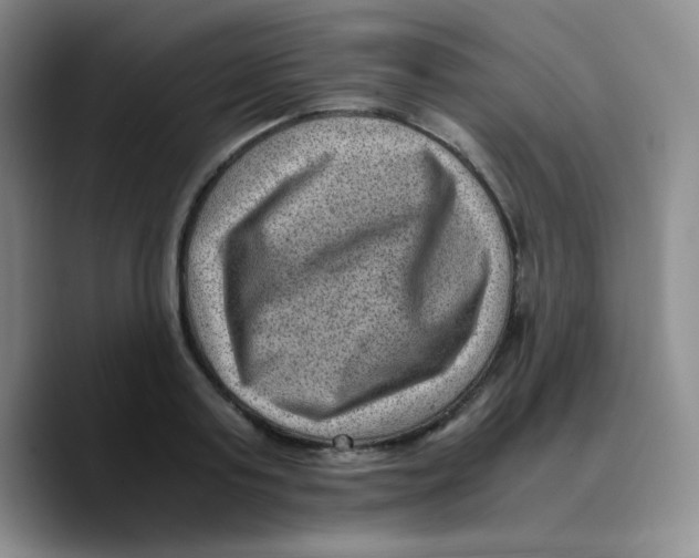 X0000089710795200707201759