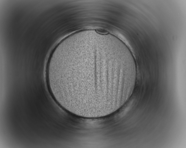 X0000089710803200707201759