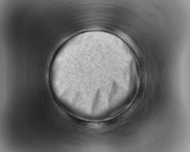 X0000089710805200707201759