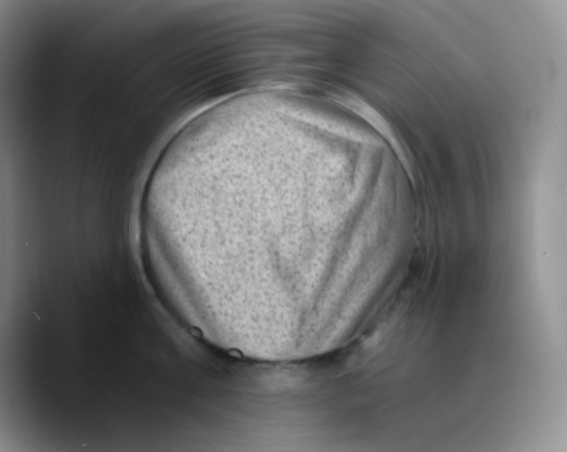 X0000089710811200707201759