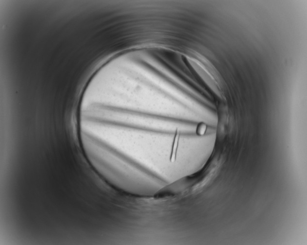 X0000089710812200707201759