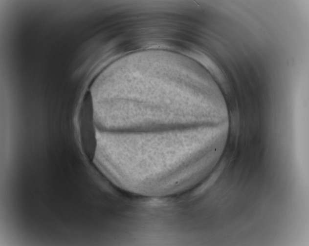 X0000089710814200707201759