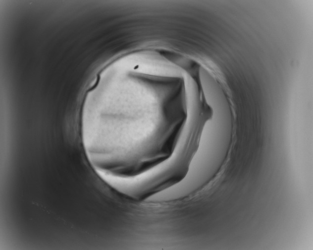 X0000089710816200707201759