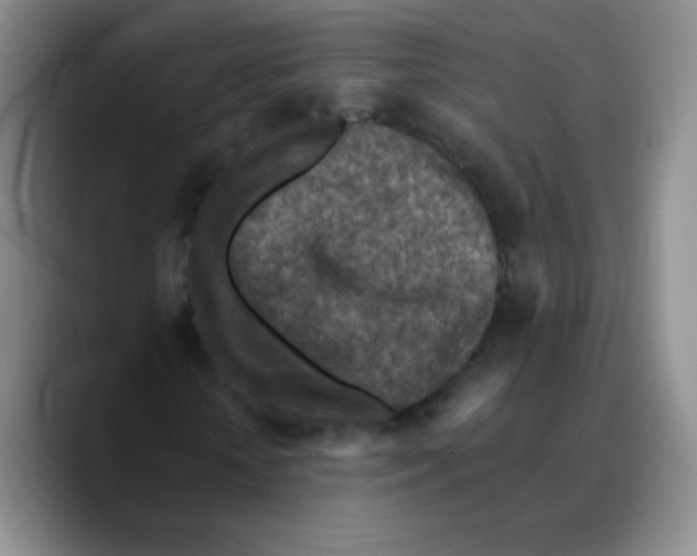X0000089710818200707201758